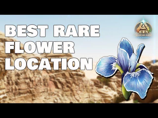 Best Rare Flower Location - Scorched Earth - Ark Survival Ascended