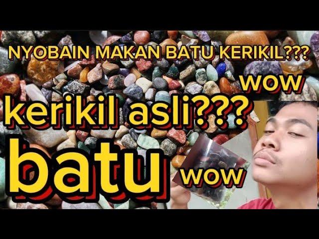 NYOBAIN MAKAN BATU KERIKIL BARENG PONAKAN, GIGINYA SAMPAI MISAH????