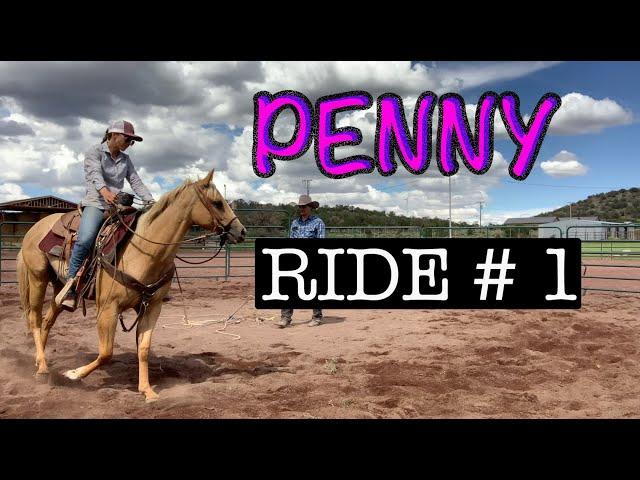 FIRST RIDE ON A YOUNG HORSE I PENNY