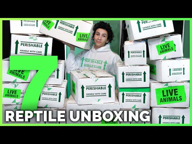 Unboxing 30 New Reptiles! Big & Small Geckos, Boas, Pythons, Turtles & More