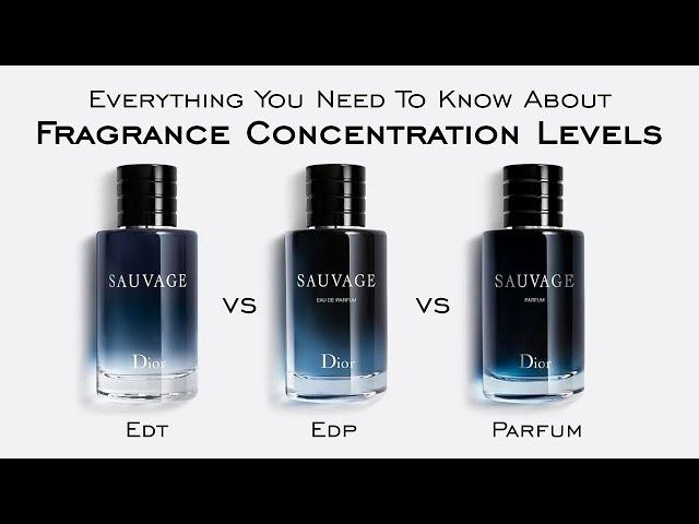 Everything You Need To Know About Fragrance Concentration Levels - EDT, EDP, Parfum, & MORE