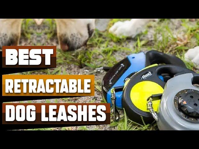 Best Retractable Dog Leash In 2024 - Top 10 Retractable Dog Leashes Review