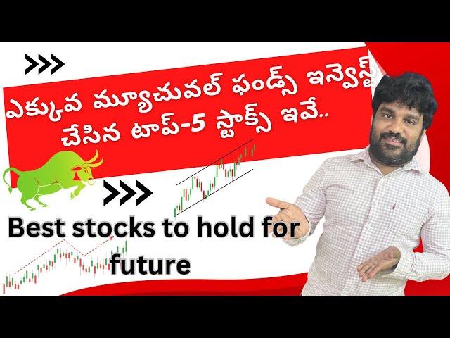 best stocks for long term investment based on mutual funds holdings