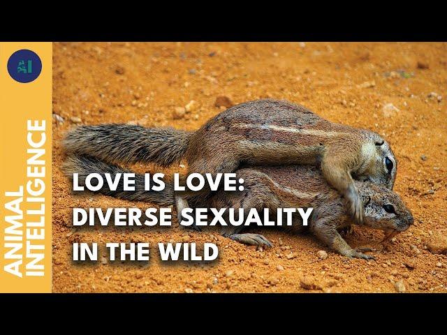 How common is homosexuality among the wildlife? | AI