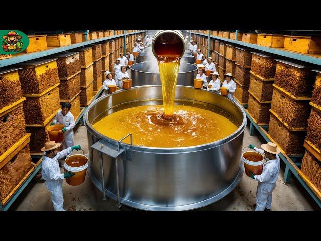 How Honey Is Made in Factory: From Hive to Jar in Mega Factories