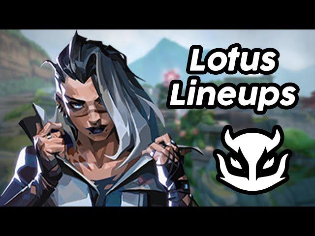 9 Quick Lotus Fade Lineups