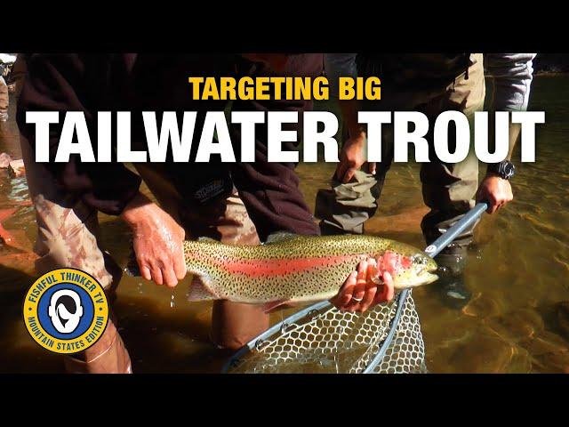 Light Tackle for Big Trout  (trout fishing); Fishful Thinker