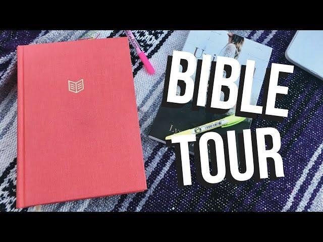 What's In My Bible | Bible Tour She Reads Truth
