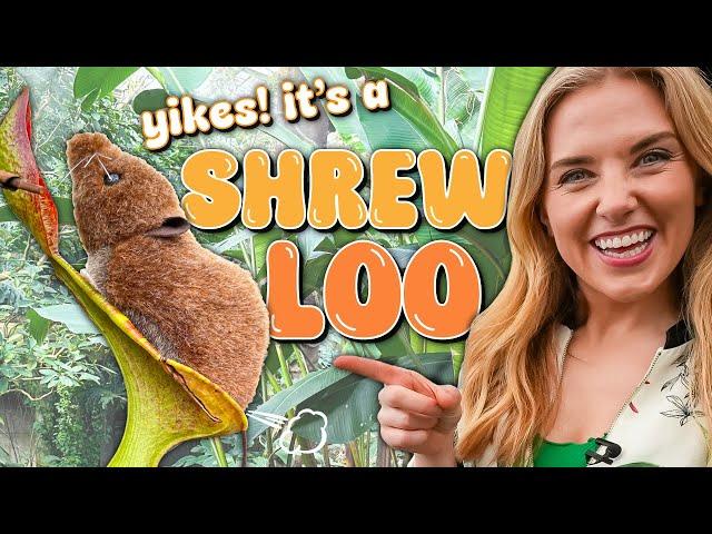 Meet the Famous POO-EATING Plant! | The Carnivorous Shrew Loo | Maddie Moate
