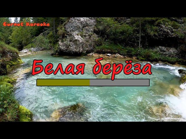 Formatia Curnut (Группа Курнуц) - Белая берёза, караоке, минус #курнуц #curnut