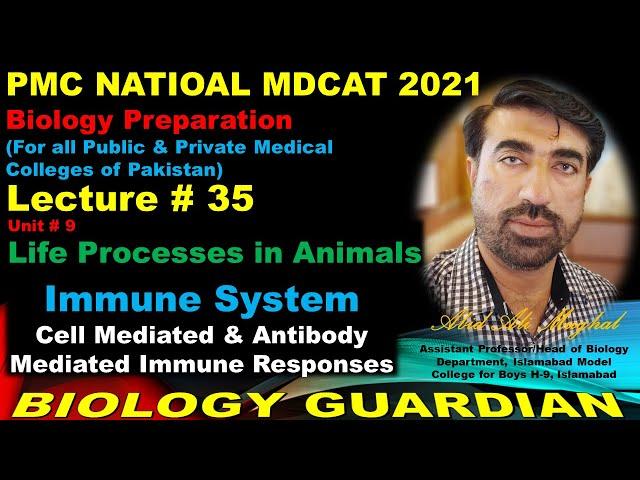 Lecture 35 Biology National MDCAT 2021 | Immune System, Immunity, B & T Lymphocytes, Immune Response