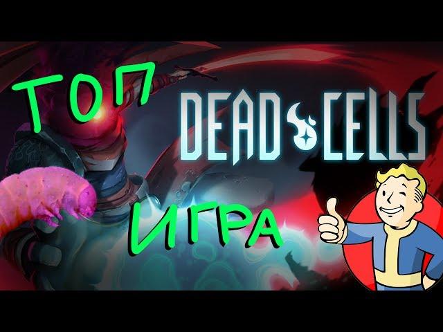 Гусеничка одобряет! // Dead Cells #1