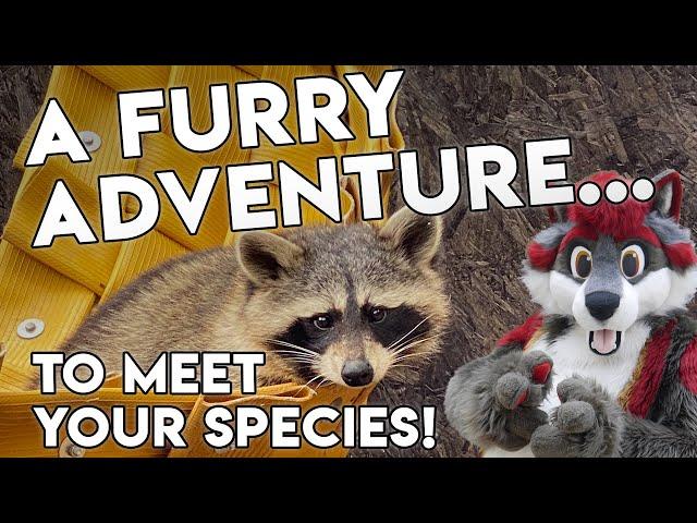 A Furry Adventure... To Meet Your Species!