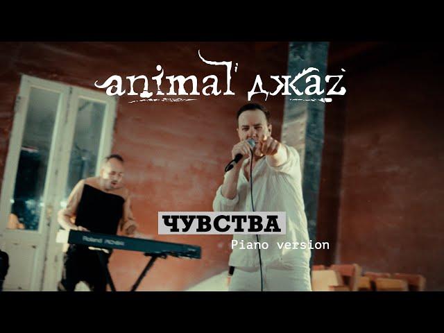 Animal ДжаZ — Чувства (Piano version, Live, 2024)