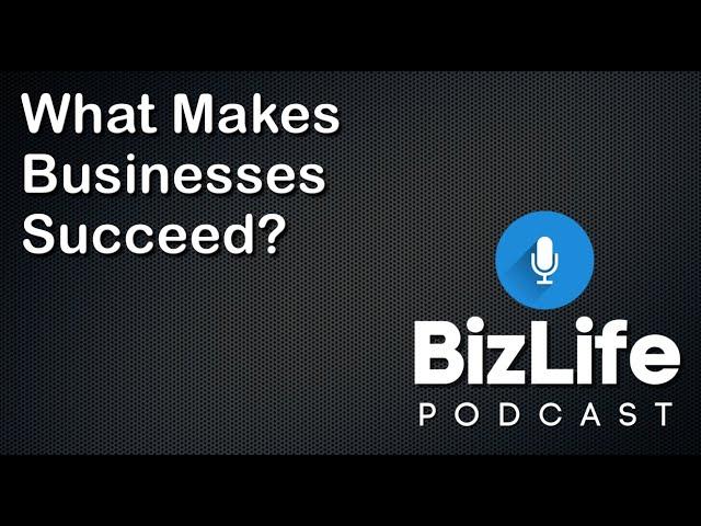 What Makes Businesses Succeed? | SBEP Podcast