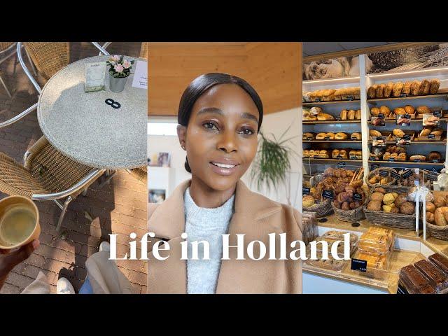 Life in the Netherlands| Getting an Ikea closet, visiting a buffalo farm and huge dm haul