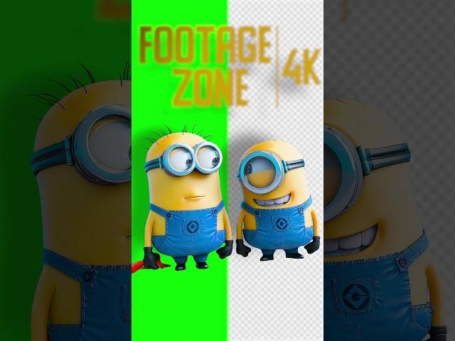 Minions | Green Screen 4K