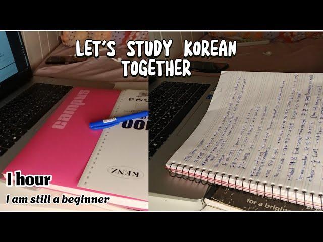 STUDY KOREAN WITH ME | self studying korean | 1hr. #talktomeinkorean #ttmik