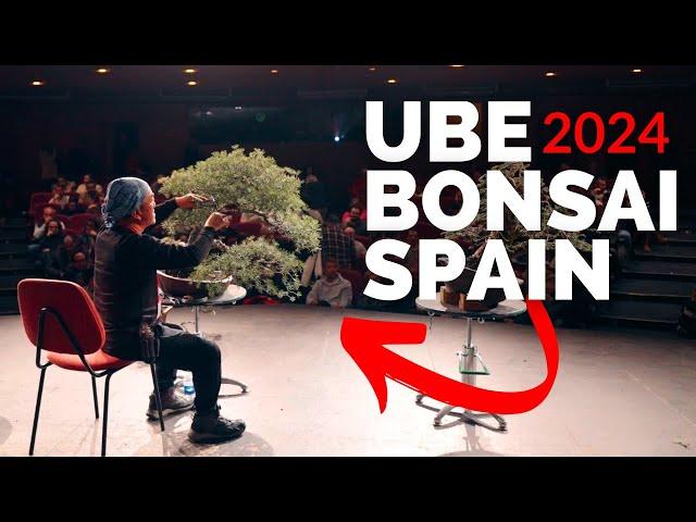 Hanging with the Bonsai Masters | UBE 2024 Spain