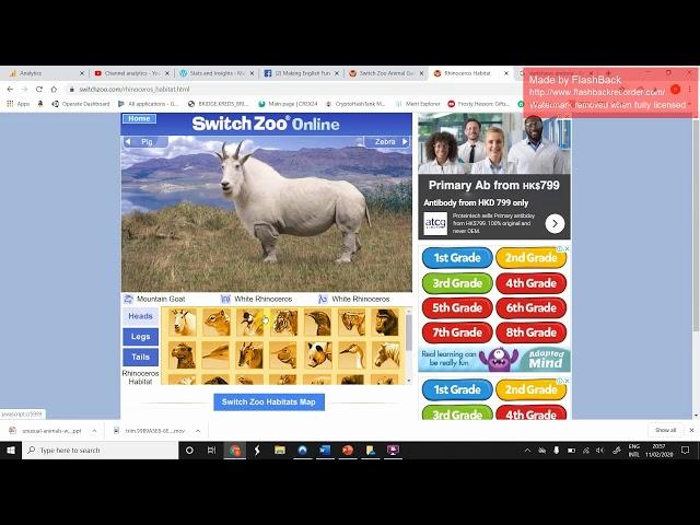 Make your Own Animal With Making English Fun and Switchzoo