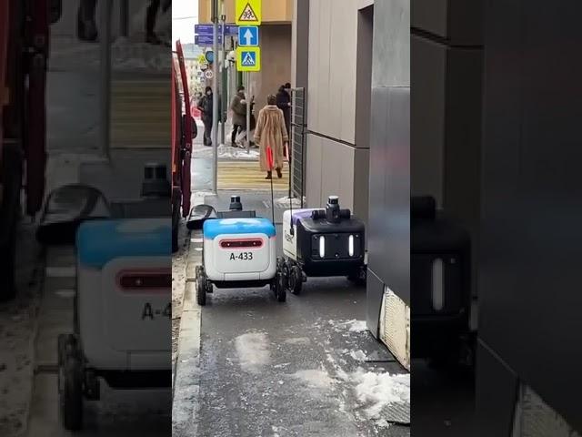 Autonomous encounter: delivery robots' Moscow sidewalk standoff