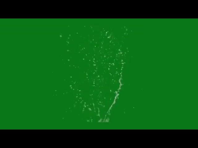 Pani green screen video