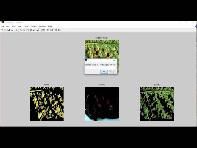 Ieee projects on digital image processing using matlab