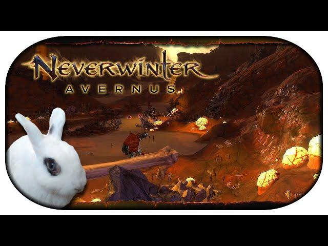 NEVERWINTER: Avernus  05 - Neu, episch und WIDERLICH