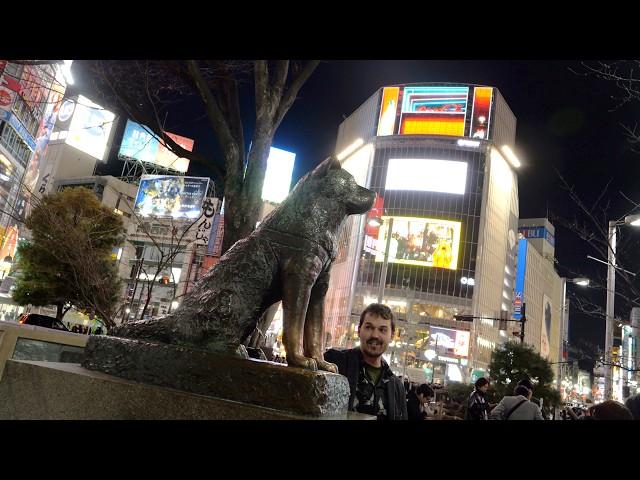 Hachiko Statue (03/14/2025) Raw B-Roll Archive ハチ公 03.14.2025 アーカイブ