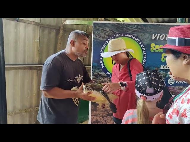 Victor Hasselblad Sea Turtle Research & Conservation @Sri Lanka