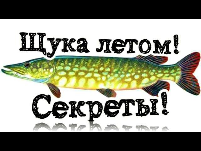 Будете ловить щуку с каждого заброса! Новые секреты ловли щуки летом! Как ловить щуку летом?