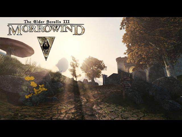 Morrowind Looks Amazing In 2021 - Graphics Overhaul