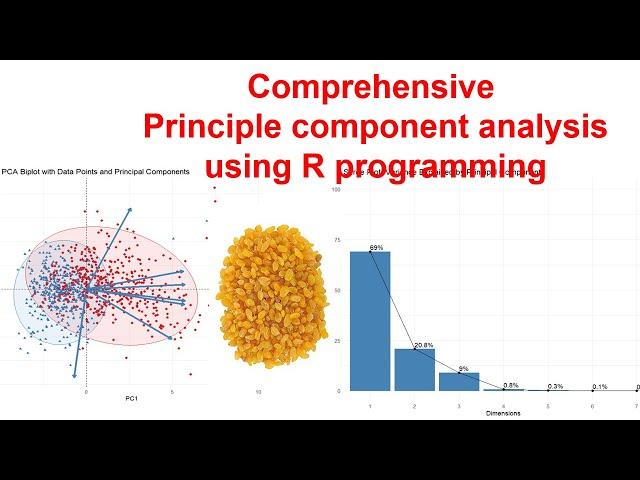 Master Principal Component Analysis (PCA) in R: Simplifying Complex Datasets