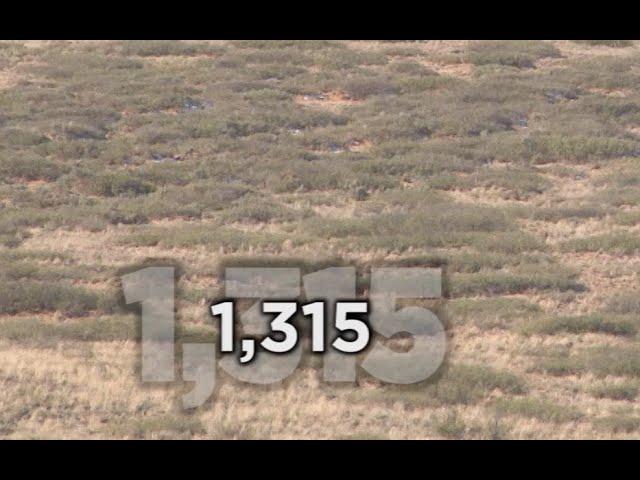 Long Range Hunting - 54 KILL SHOTS - Extreme Outer Limits TV