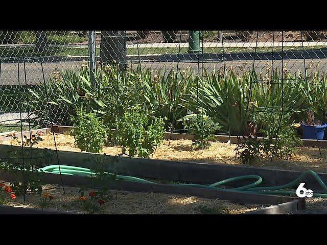 Boise woman brings horticultural therapy to City Light Home For Women and Children