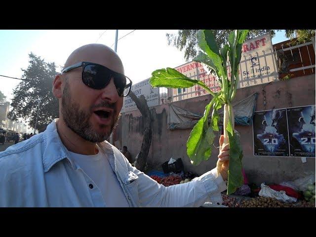 Morning Vegetable Market Tour 