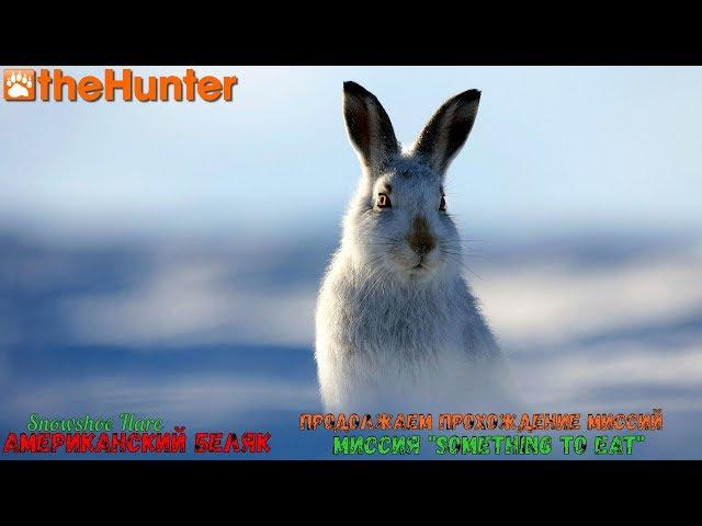  theHunter Classic  Рубрика: Помощь новичкам  Snowshoe Hare missions ℘⓶  американский беляк 