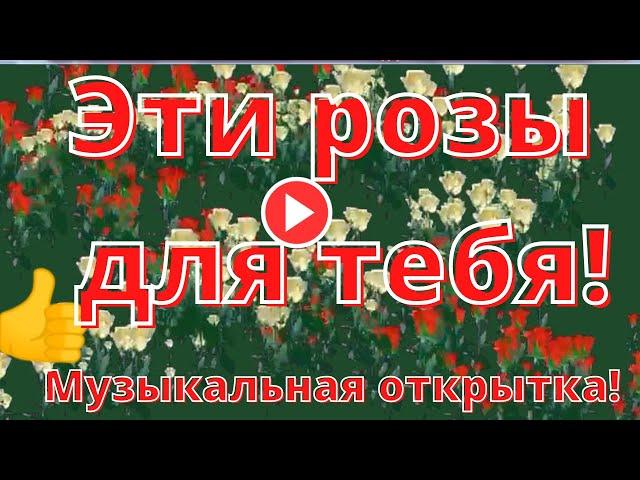 Розы. Все цветы для тебя. Музыкальная открытка...