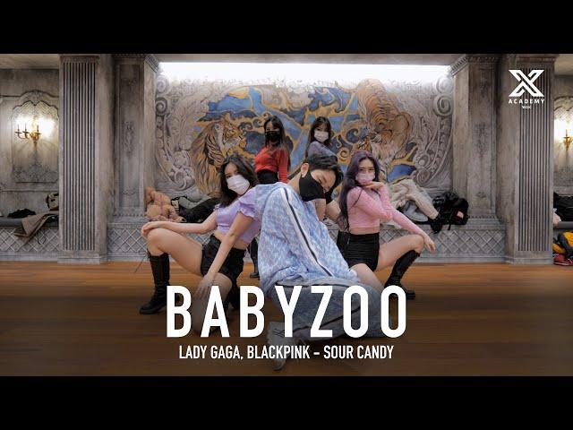 Original Choreography Workshop BLACKPINK - "Sour Candy" / BABY ZOO of NWX