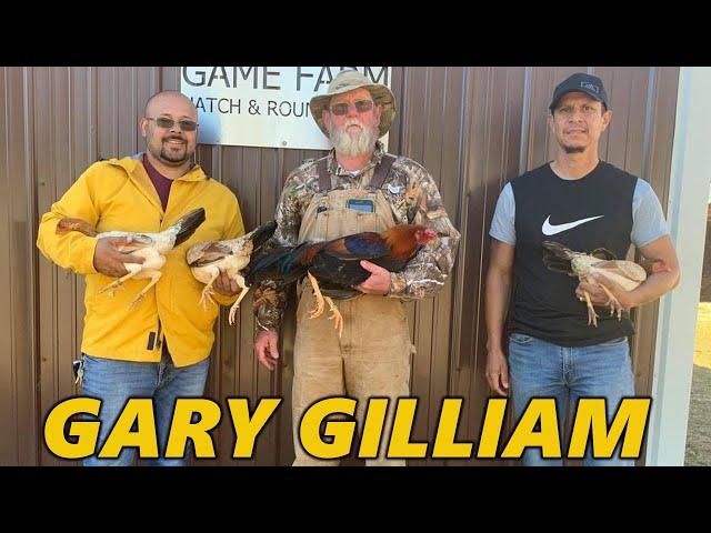 Gary Gilliam Leiper Timberland Brunner Roundhead Bacson Peralta Farm Visit Beautiful Birds