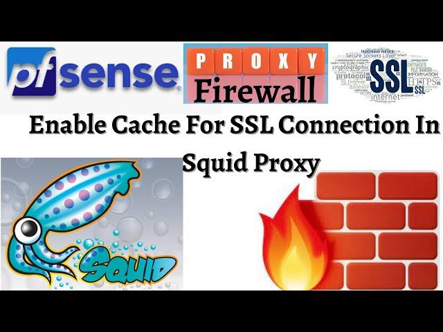 Chapter-21 : Intercepting HTTPS Traffic Using the Squid Proxy Service in pfSense| How To Cache HTTPS