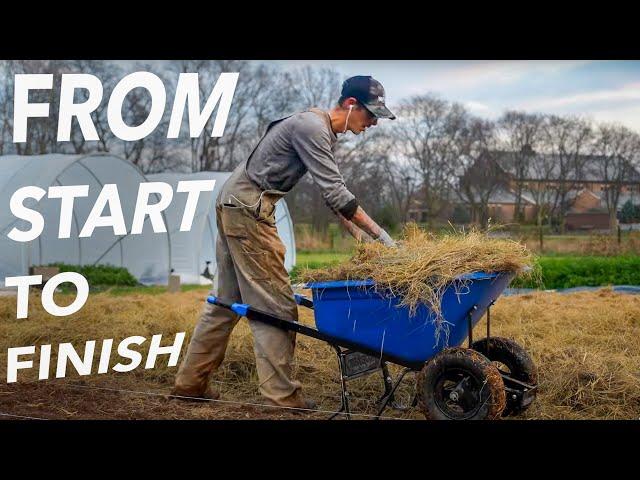 Developing a No-Till Garden From Scratch