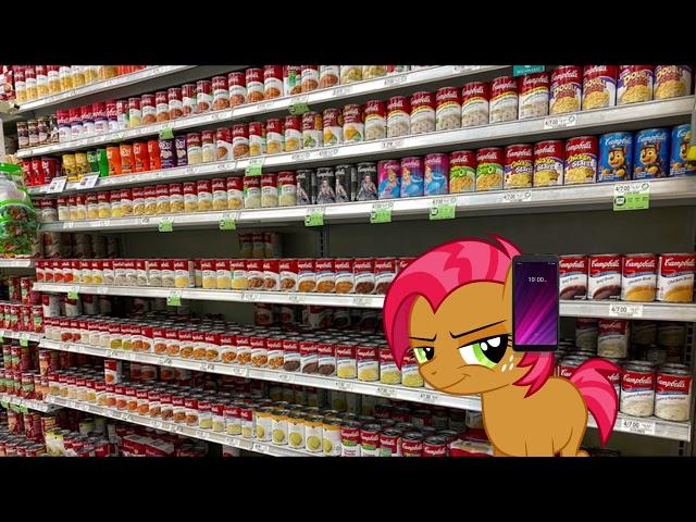 Babs seed goes to THE SOUP STORE (meme)