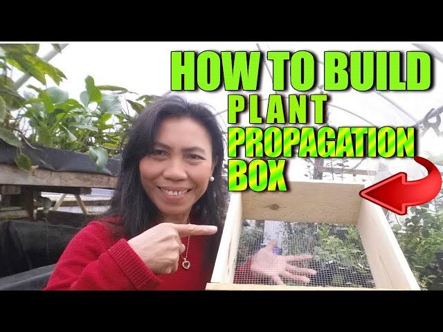 Build Plant Propagation Boxes for Roses, Hydrangeas, Citrus and Hibiscus