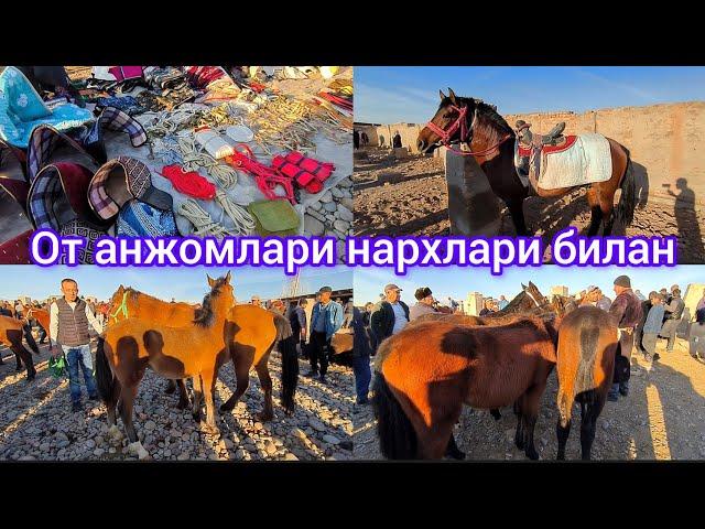 Сурхондарё сариосиё пайшанба от бозори