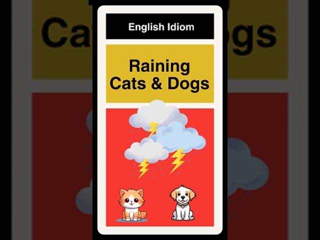 Raining Cats and Dogs - English Idiom