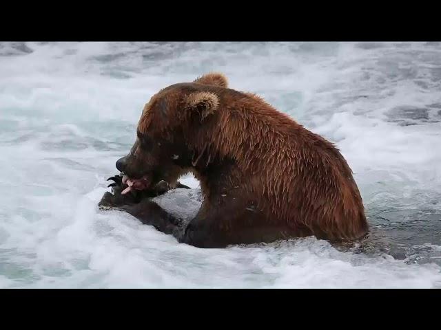 Katmai