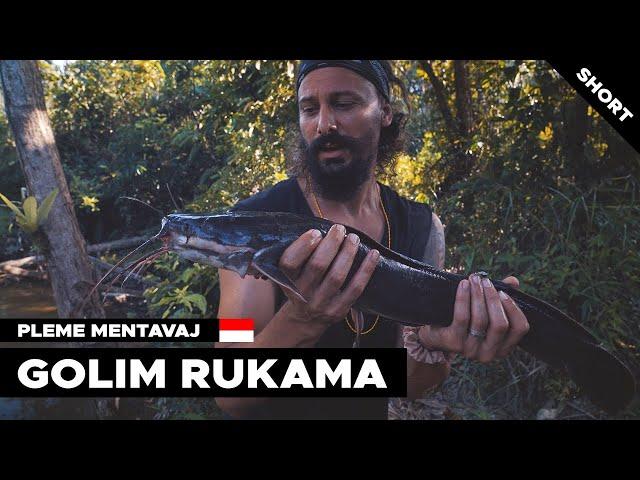 HVATAMO RIBE golim rukama u plemenu Mentavaj | Indonezija putopis