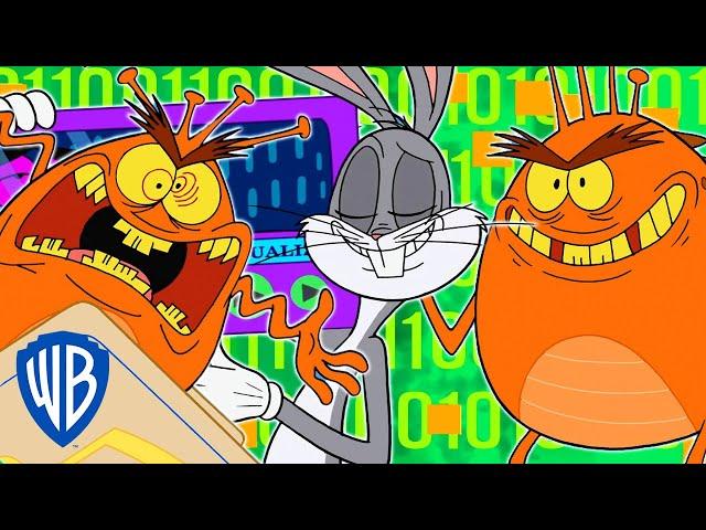 Looney Tunes | Computer Bugs | WB Kids