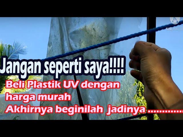 review kualitas ketahanan Plastik UV setelah sekian lama